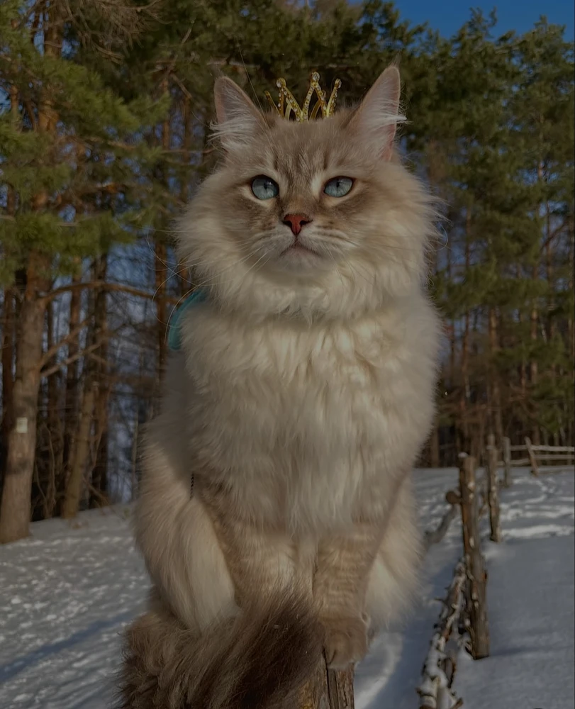 GIF uploaded by Sachin