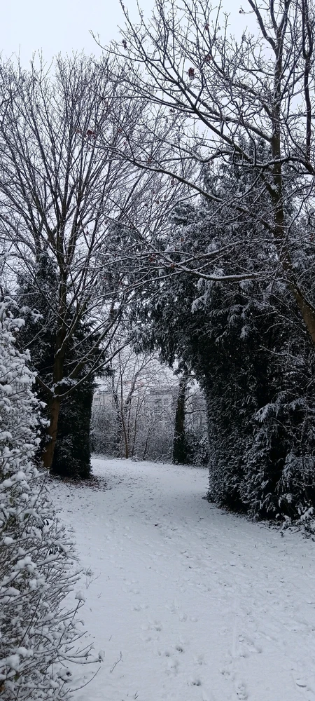 Image ajoutée par Saffiya