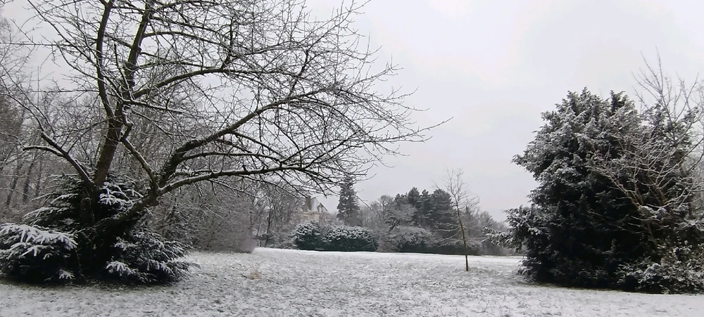 Image ajoutée par Saffiya