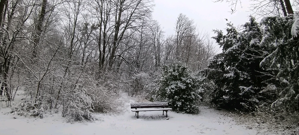 Image ajoutée par Saffiya