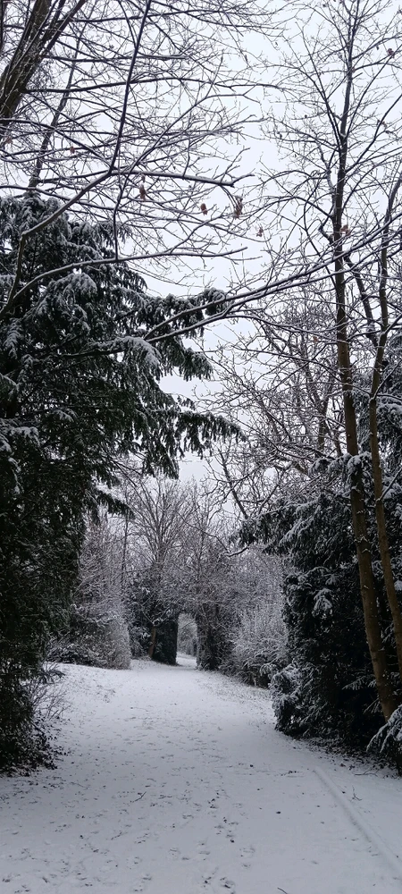 Image ajoutée par Saffiya