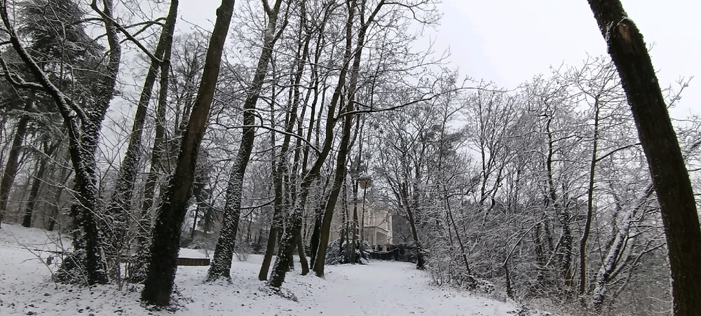 Image ajoutée par Saffiya