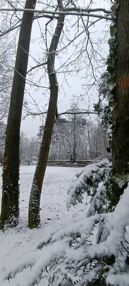 Image ajoutée par Saffiya