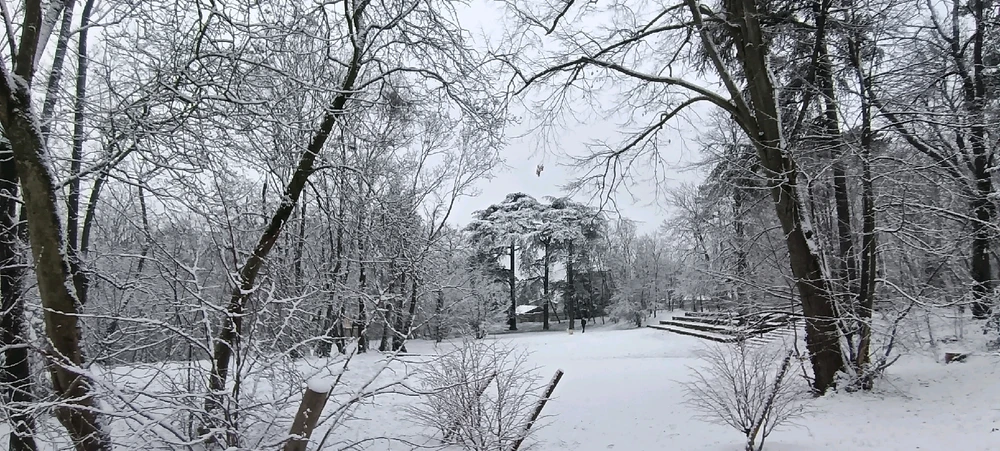 Image ajoutée par Saffiya