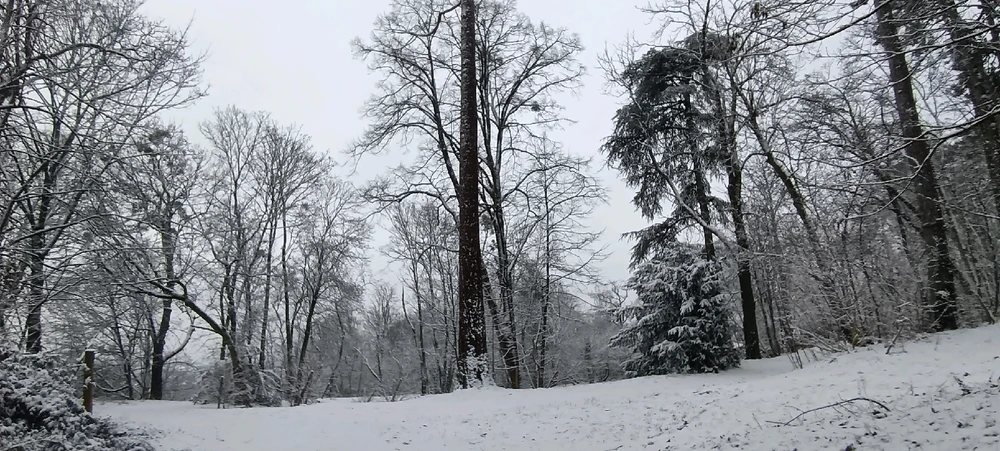 Image ajoutée par Saffiya