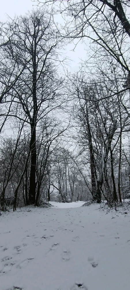 Image ajoutée par Saffiya