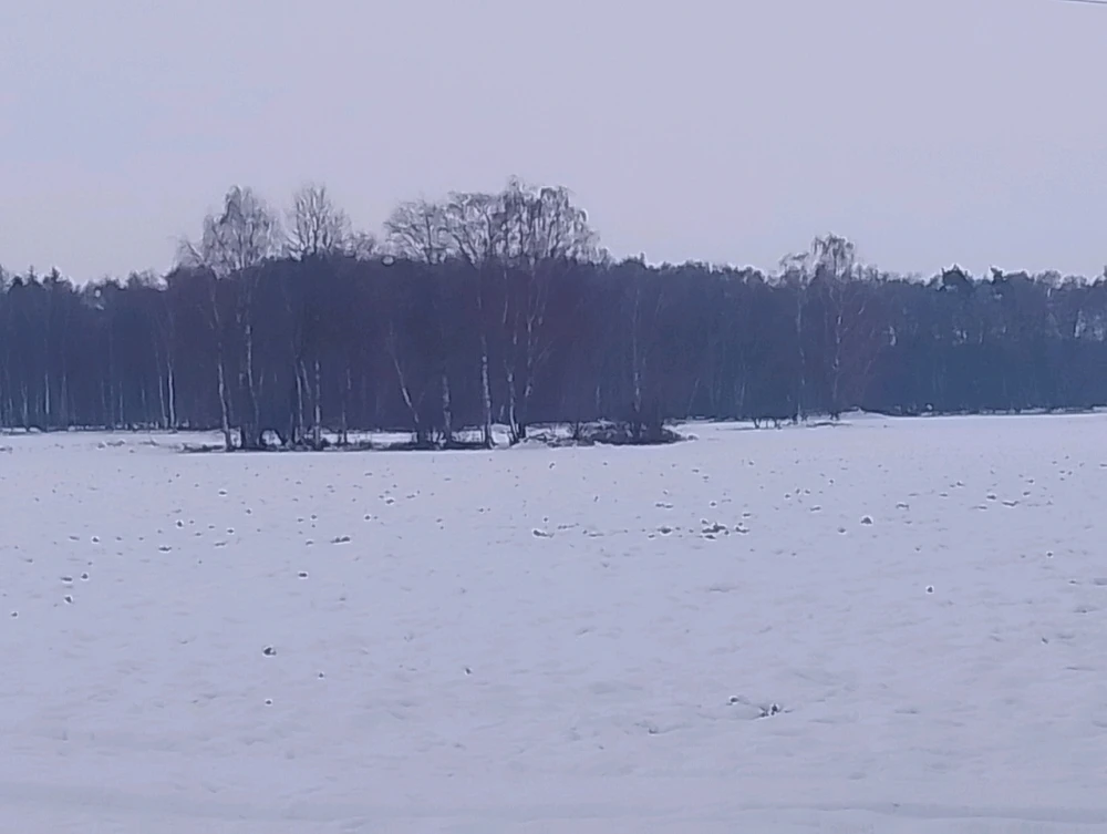 Bild hochgeladen von Andreas