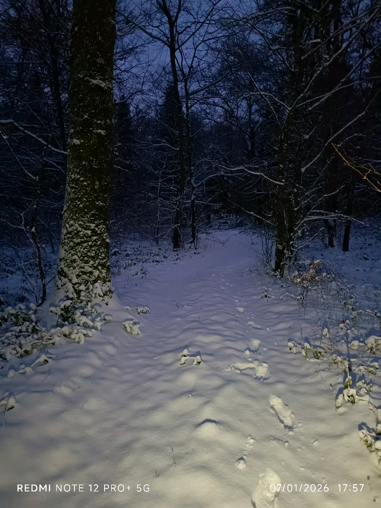 Image ajoutée par Sébastien