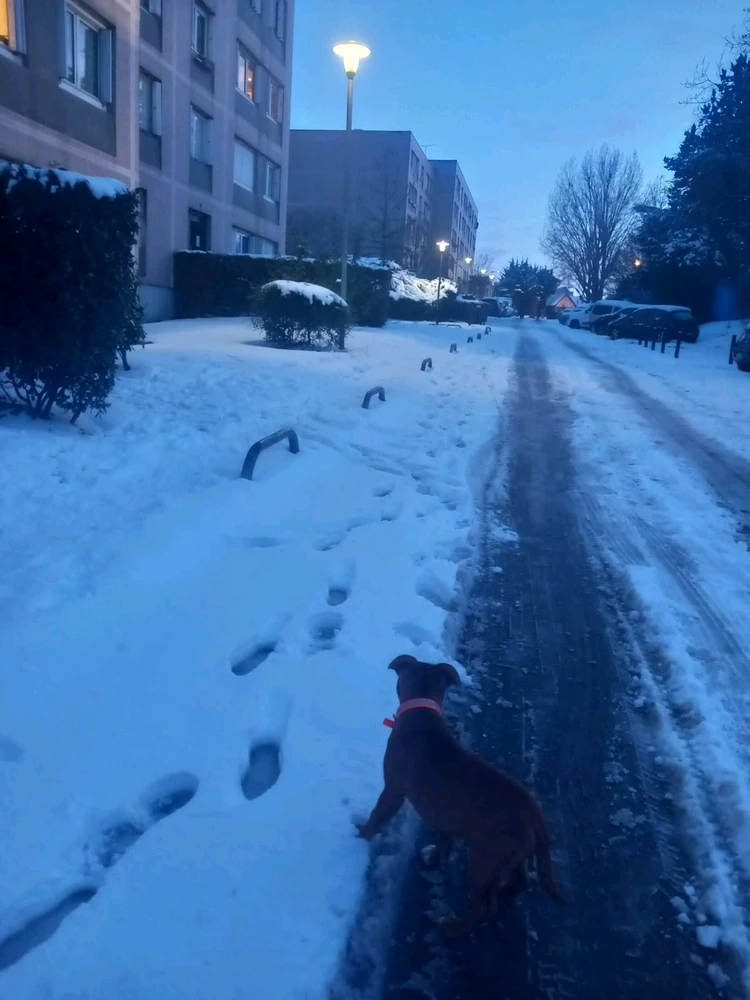 GIF uploaded by Osman