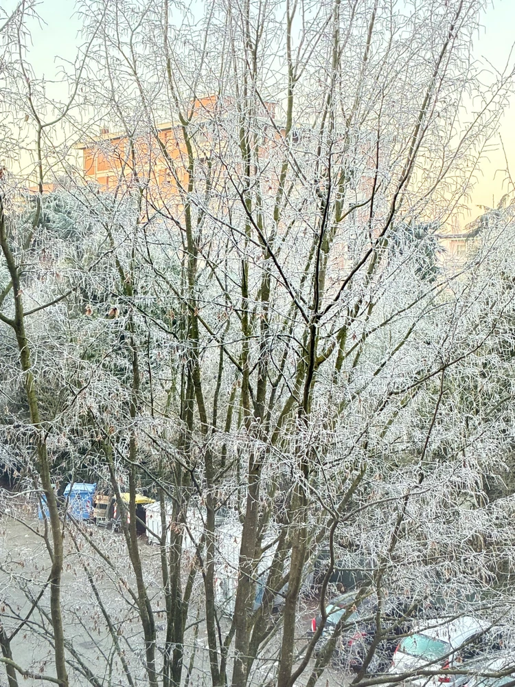 GIF caricata da Susanna