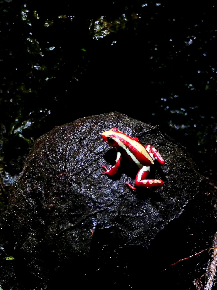 GIF ajouté par Playerone76