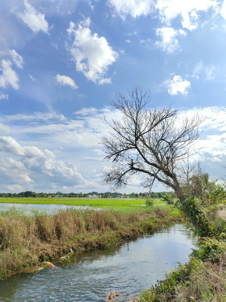 GIF uploaded by Ainun Z