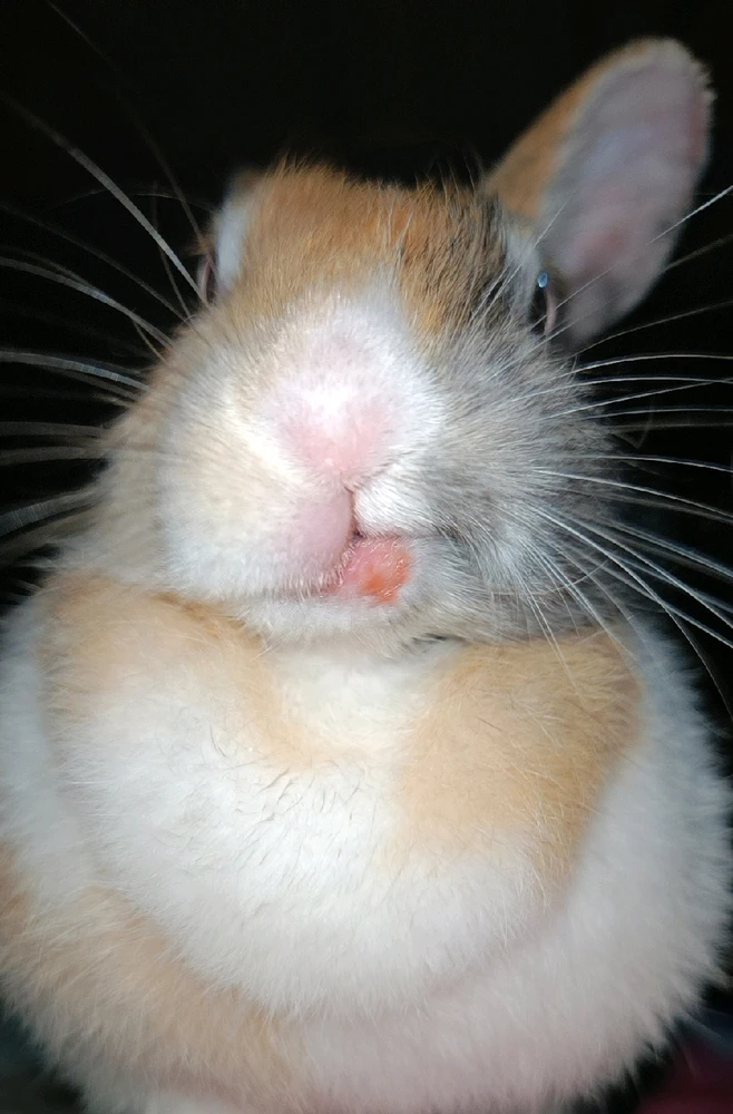 GIF uploaded by shortgirl