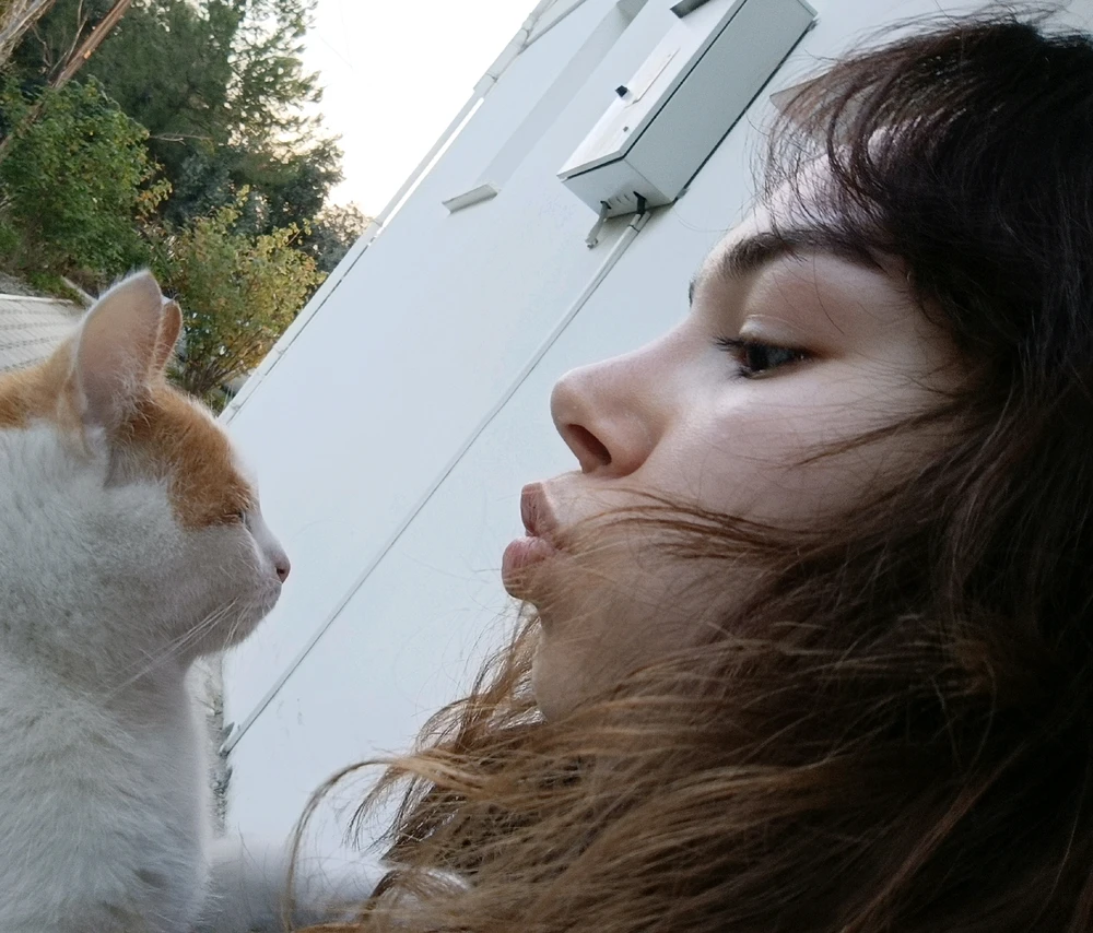 Meryceyn tarafından yüklenen GIF