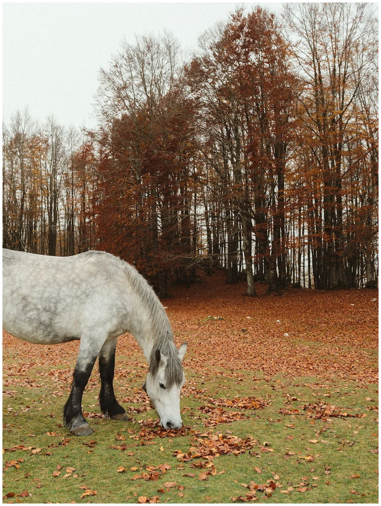 Immagine caricata da Alessandro
