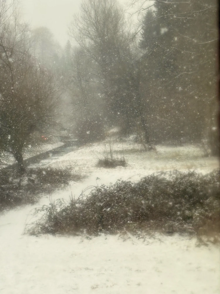 Image uploaded by 🌙✨ℳℯ𝓁𝒶𝓃𝒾𝓆𝓊ℯ✨🌙