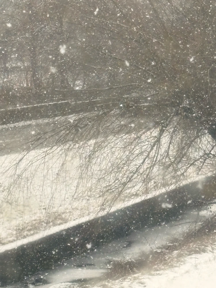 Image uploaded by 🌙✨ℳℯ𝓁𝒶𝓃𝒾𝓆𝓊ℯ✨🌙