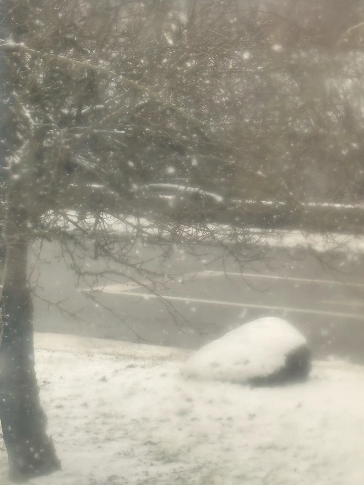 Image uploaded by 🌙✨ℳℯ𝓁𝒶𝓃𝒾𝓆𝓊ℯ✨🌙