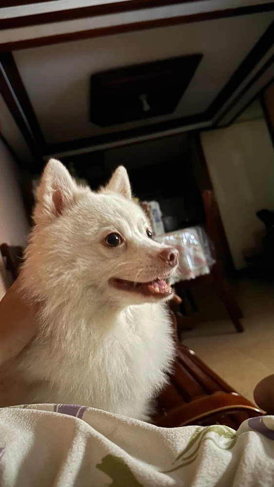 GIF uploaded by Angel