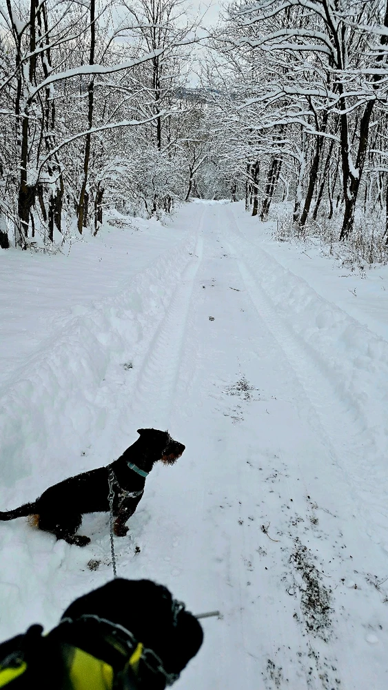 Attila által feltöltött kép