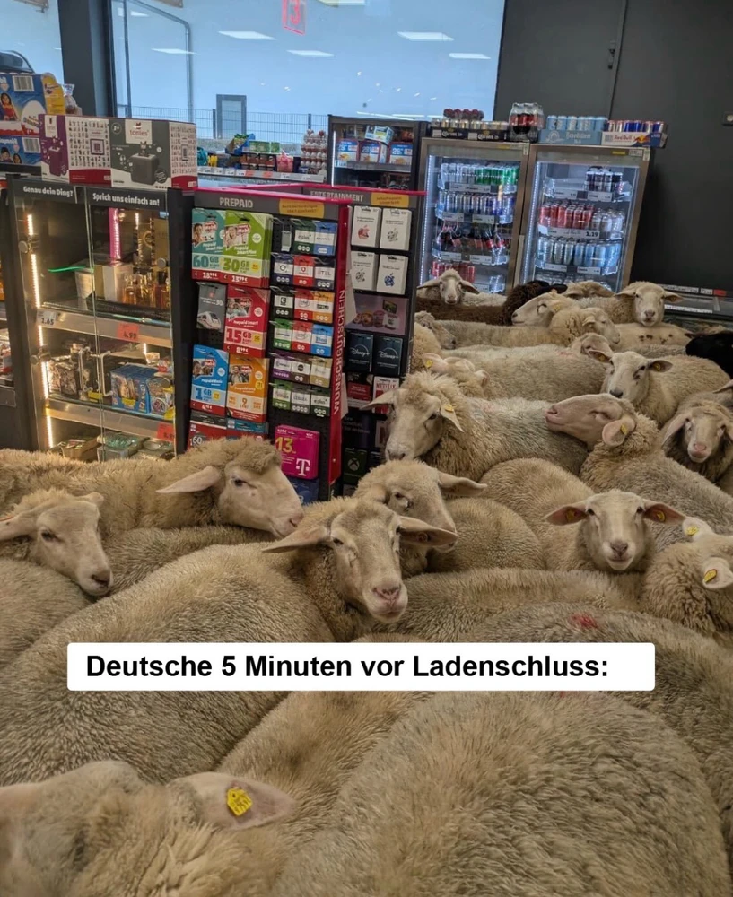 GIF hochgeladen von Jasmin