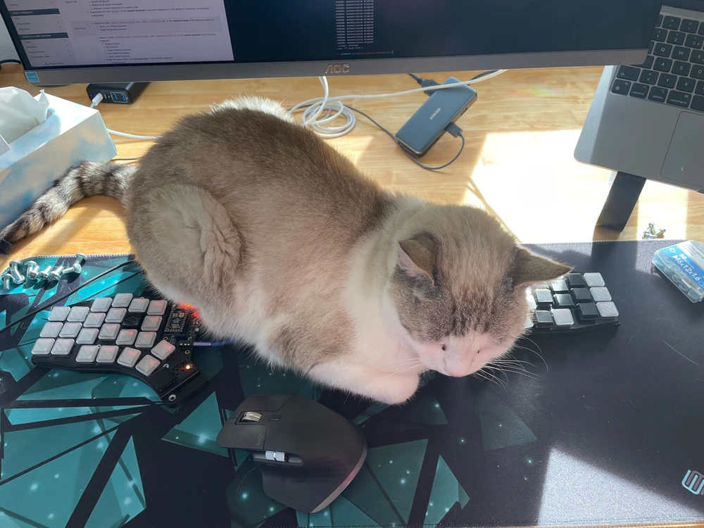 GIF uploaded by Daniele