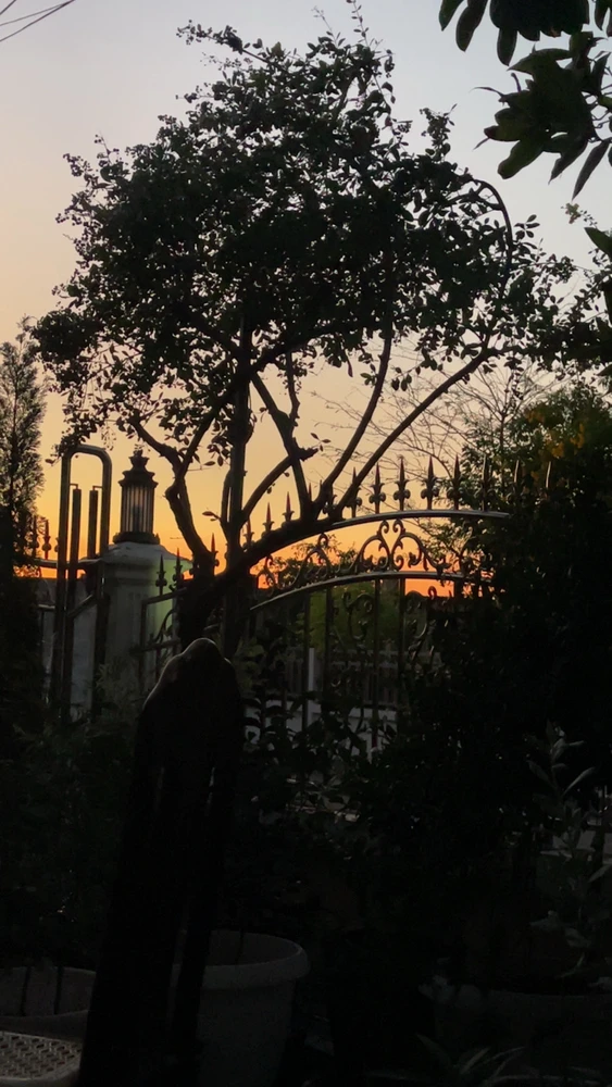 GIF uploaded by Kluay