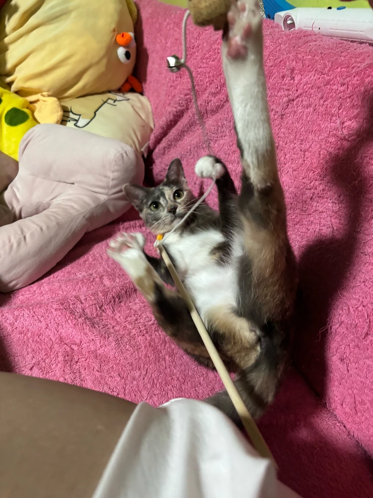 Image uploaded by Pat♡