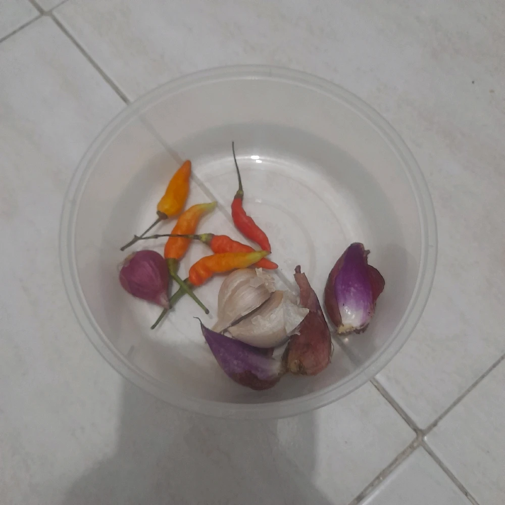 Image uploaded by Kristin Ross