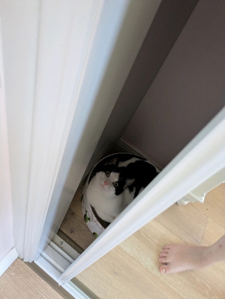 GIF uploaded by Sarah