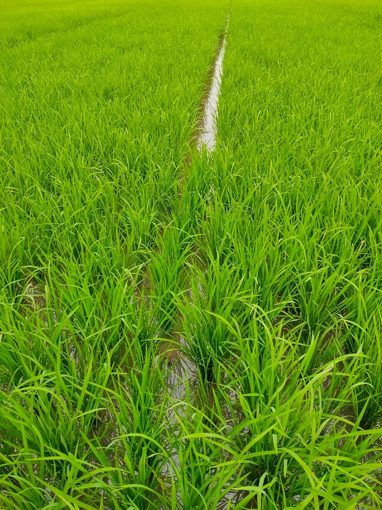 Image uploaded by 𝑻a𝒍