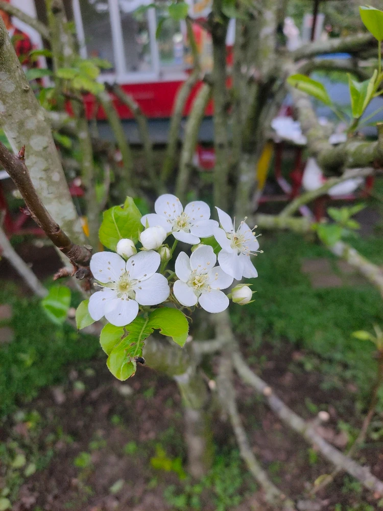 Image uploaded by 𝑻a𝒍