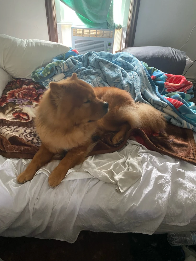 GIF uploaded by Adriiann