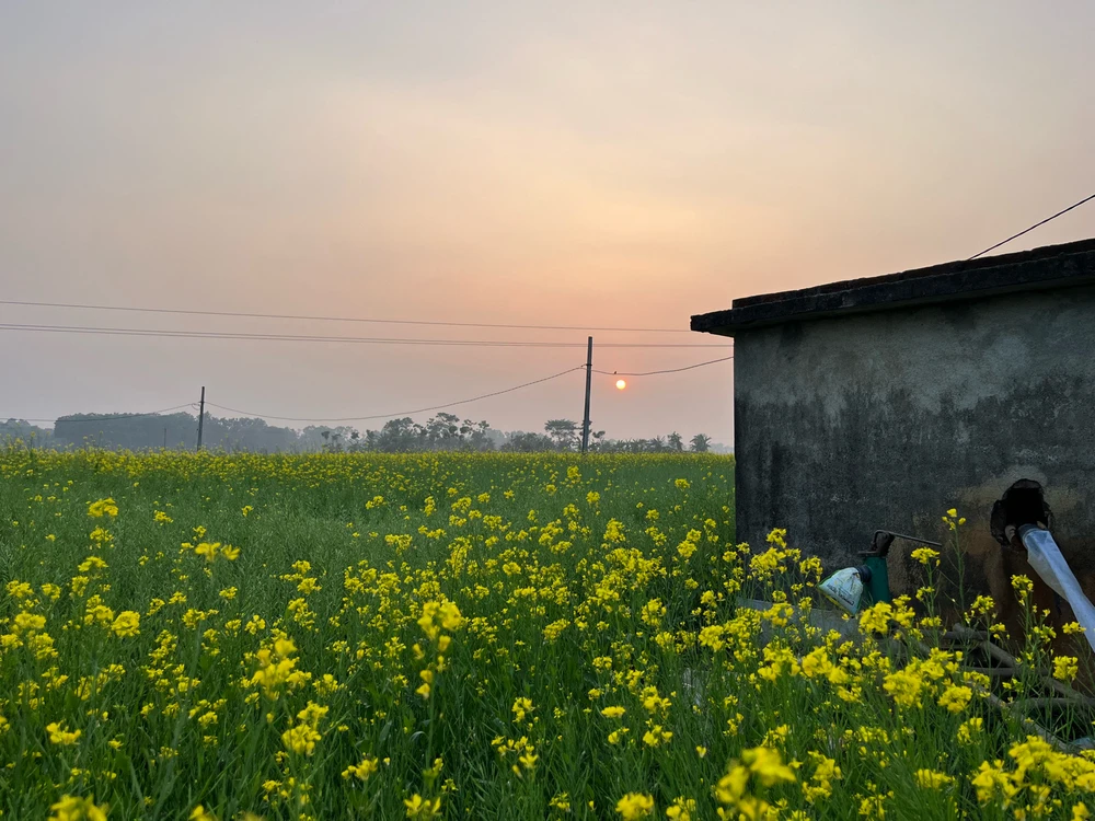 GIF uploaded by Pranto Bala