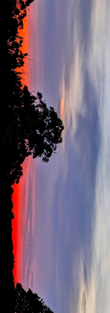 GIF uploaded by Chris