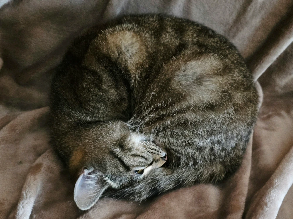 Attila által feltöltött kép