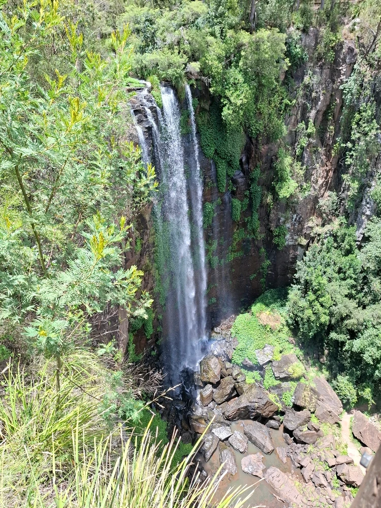 Image uploaded by Ryan