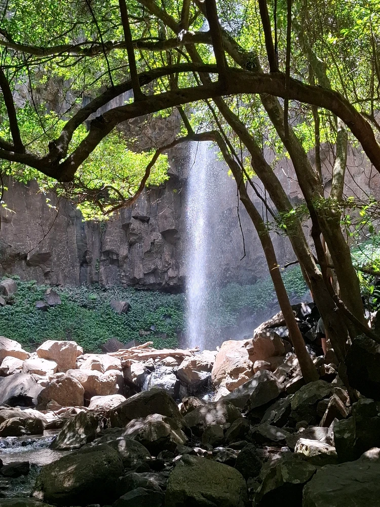 Image uploaded by Ryan