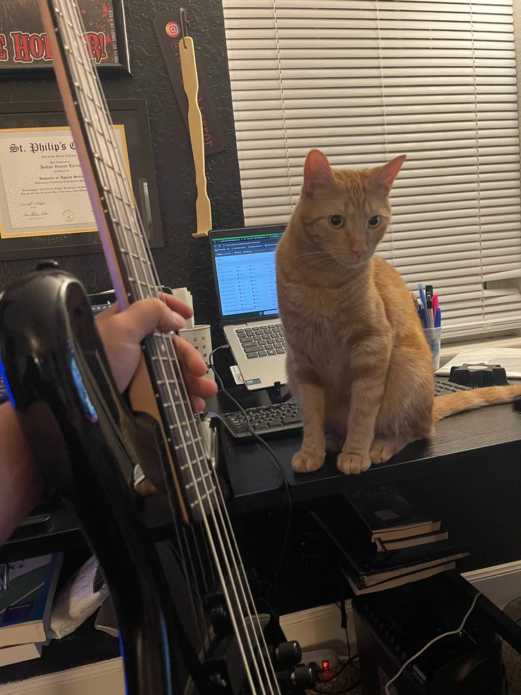 GIF uploaded by ジョシー