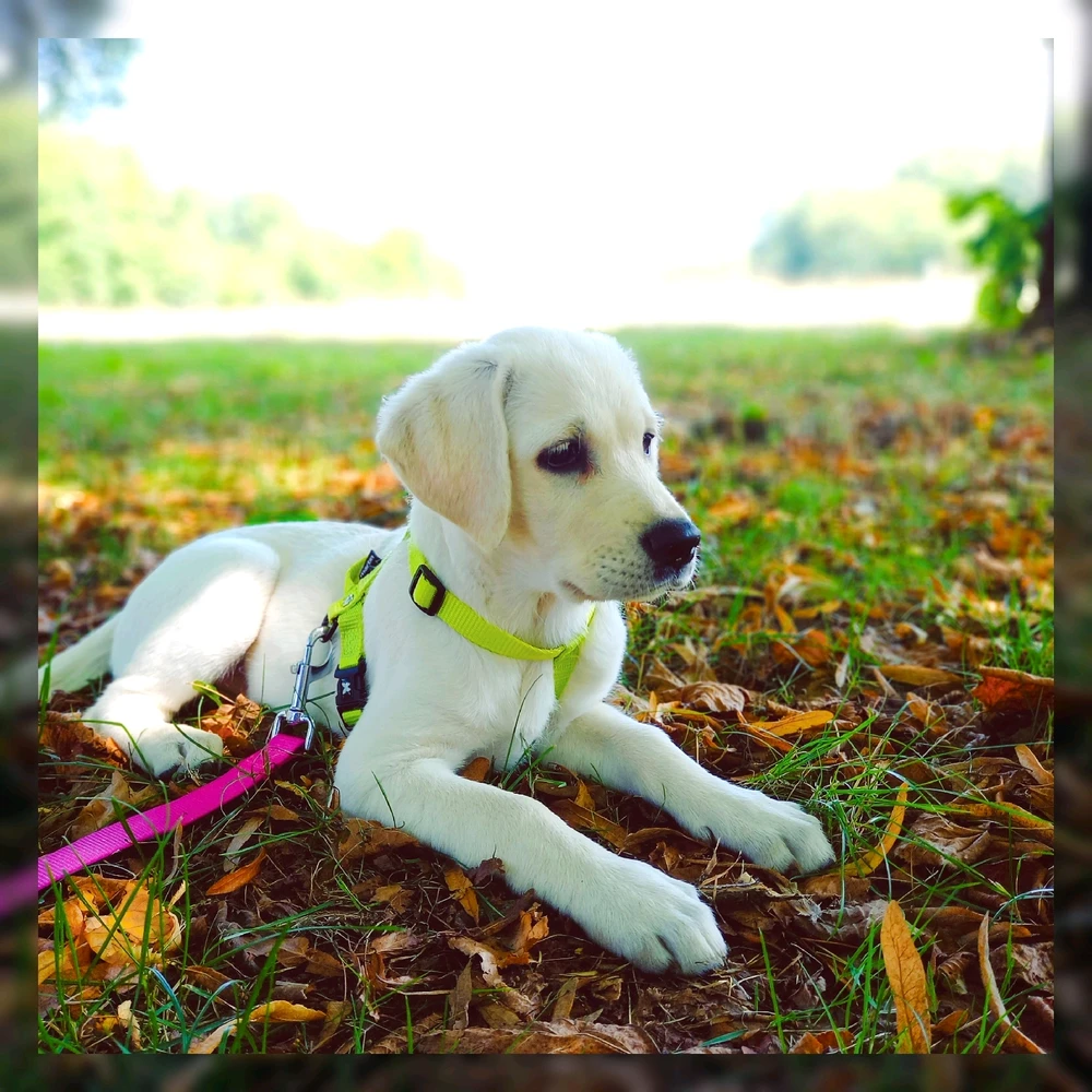 GIF uploaded by Pierre