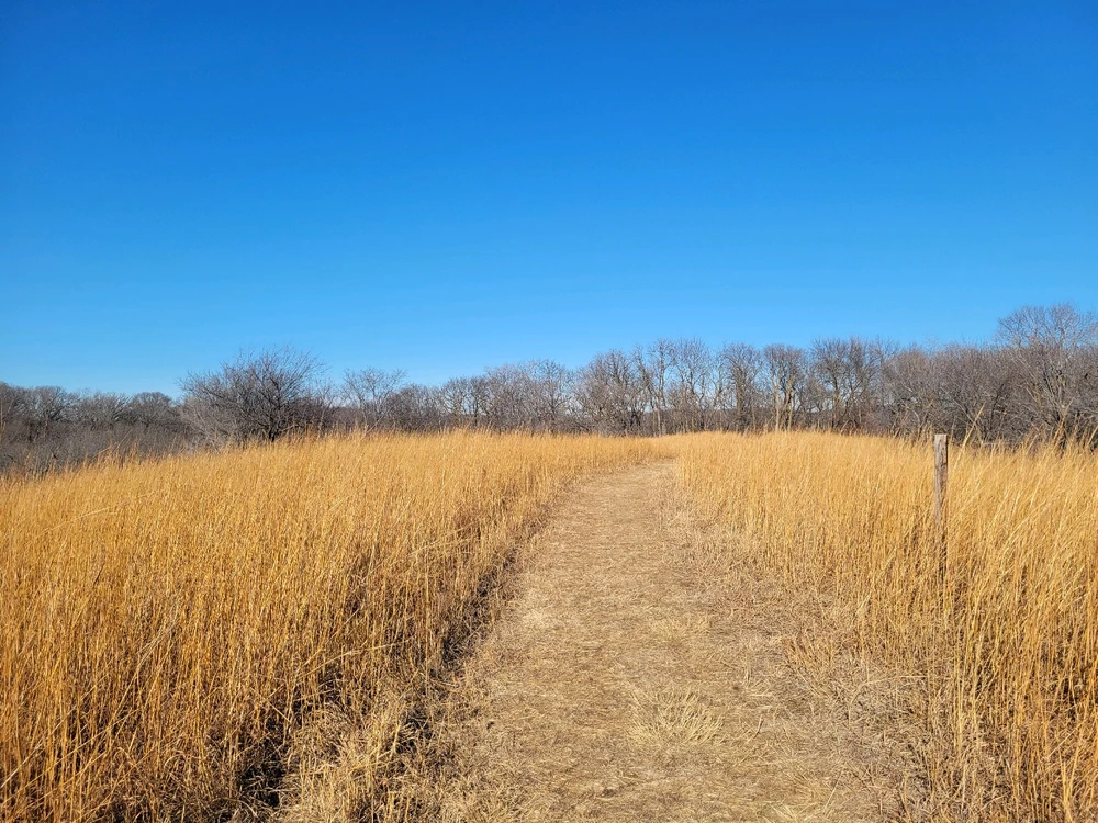 Image uploaded by William