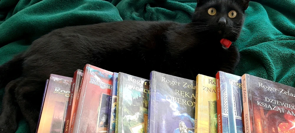 GIF dodany przez Nikola