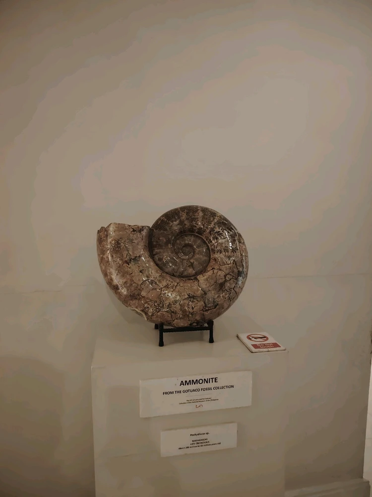 Image uploaded by Chane