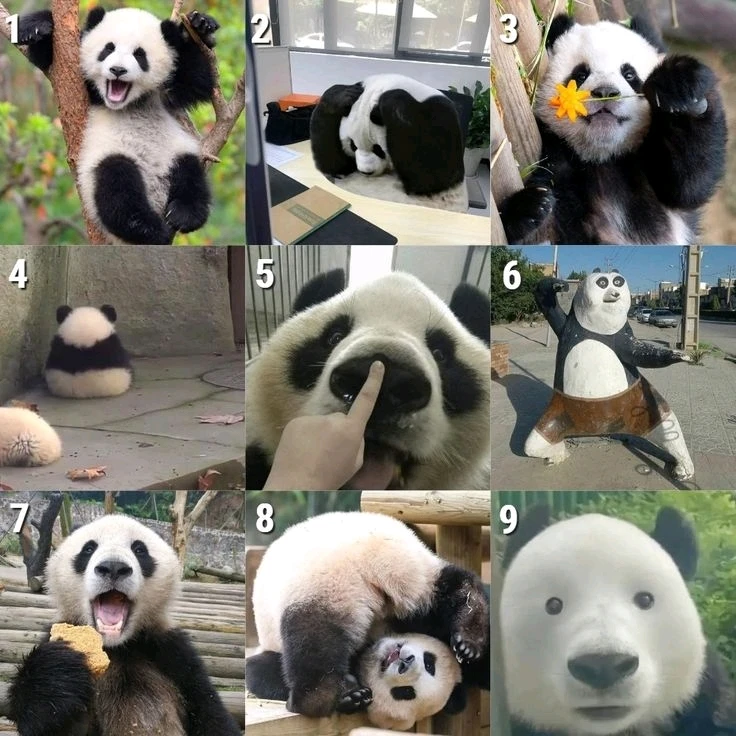 GIF hochgeladen von JaZz