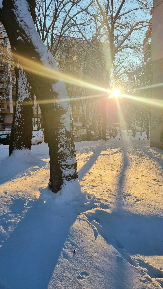 Image uploaded by Mila