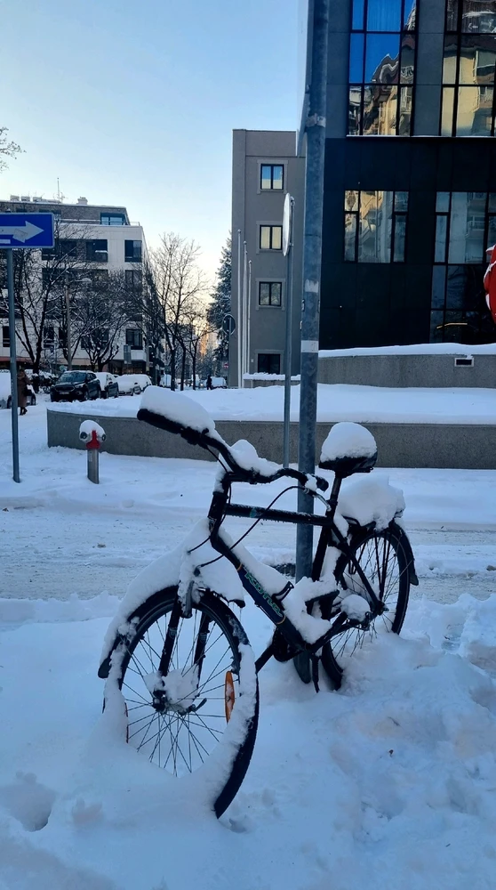 Image uploaded by Mila