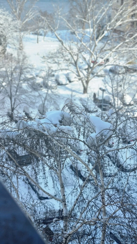 Image uploaded by Mila