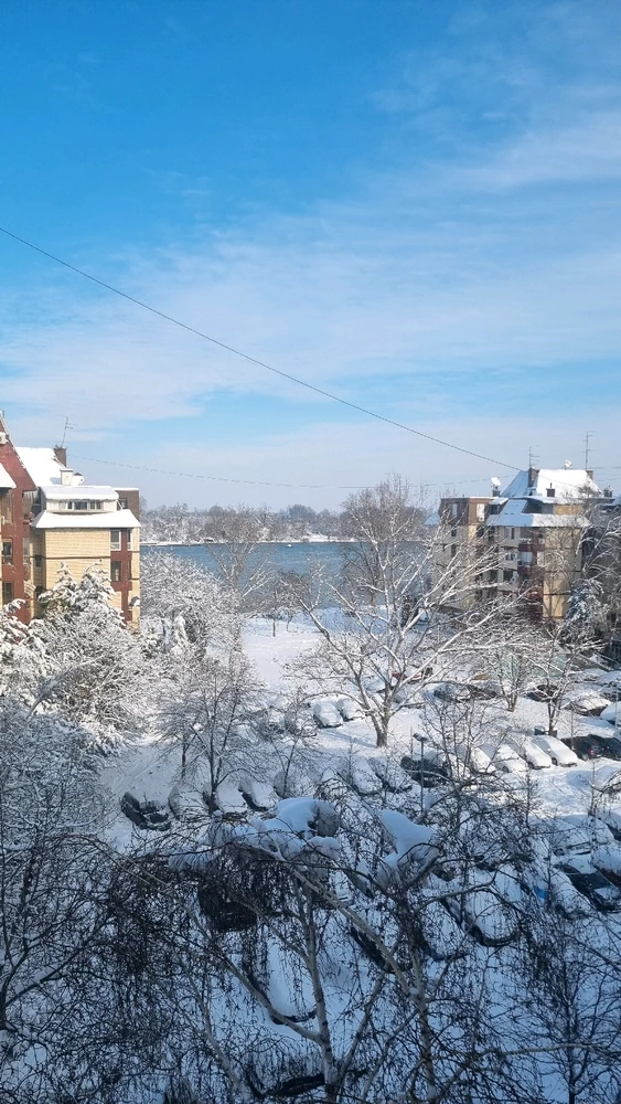 Image uploaded by Mila