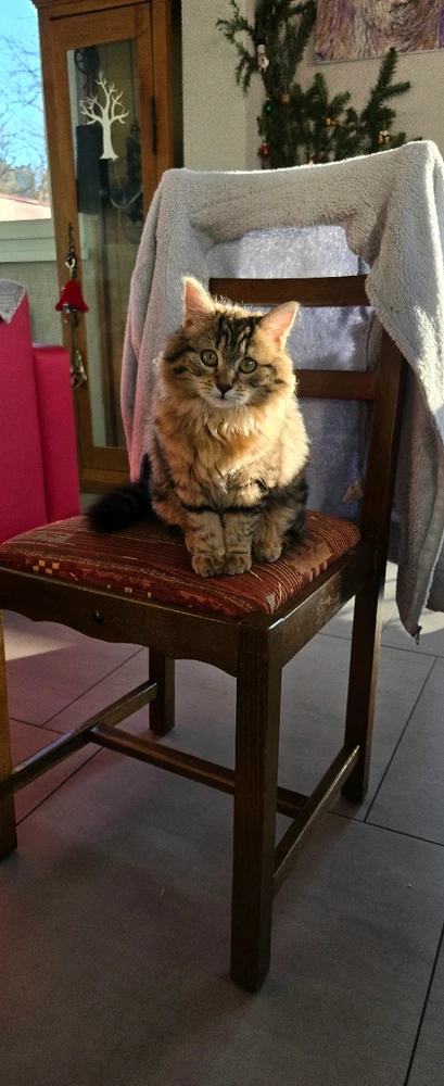 GIF ajouté par Pierrick