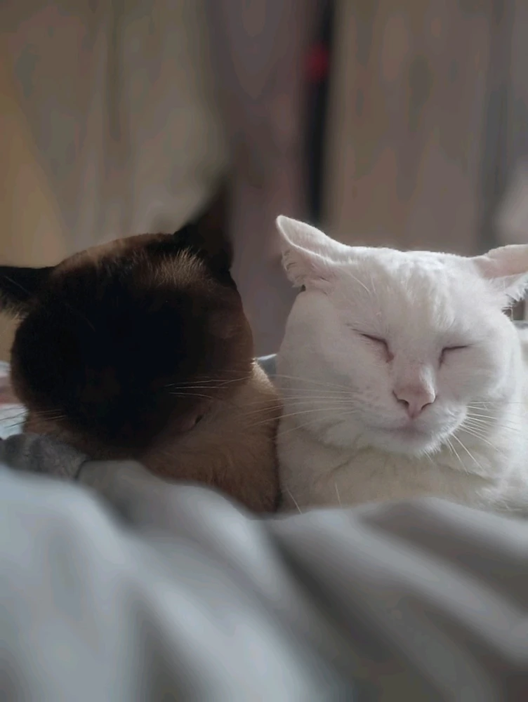 Imagem enviada por Vinícius